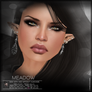 MEADOW-poster-MP-special